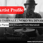 MPHO TSHWALE / NOKO WA DINAKA: The Jazz Pianist and Educator From Mamelodi
